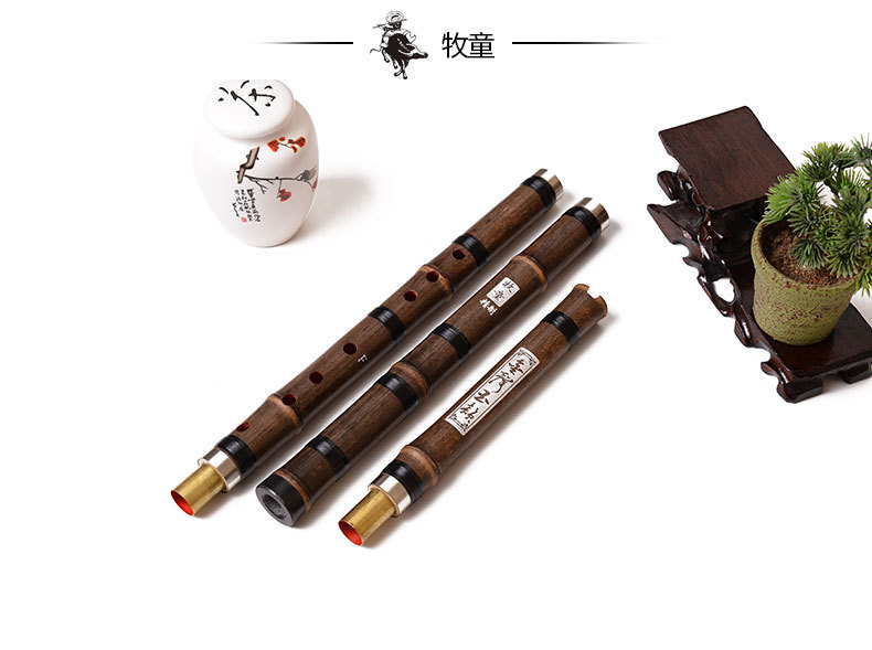 Chinese Bamboo Flute Xiao Vert - Musical Instrument Lute ulasan dan harga