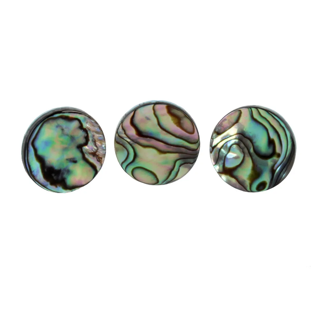 3pcs/set Trumpet Abalone Shell - Musical Instrument Horn ulasan dan harga