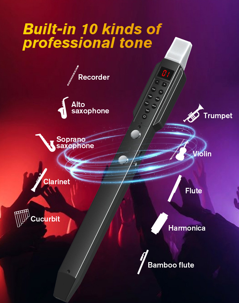 upgrade Mini Digital Electroni - Musical Instrument Lute ulasan dan harga