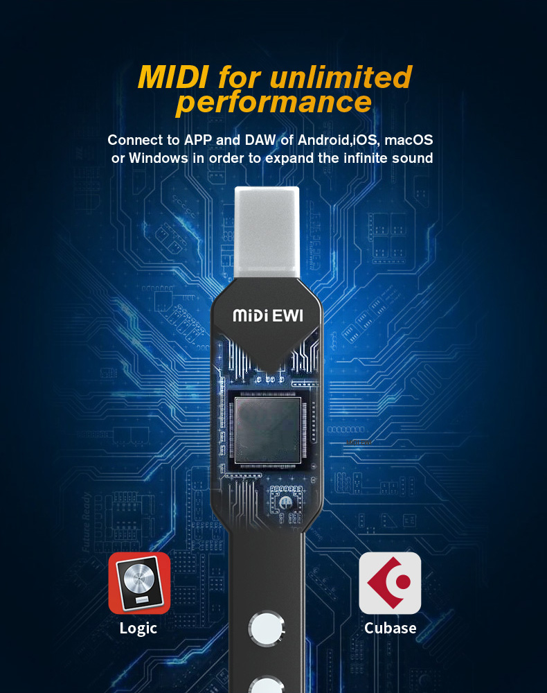 upgrade Mini Digital Electroni - Musical Instrument Lute ulasan dan harga