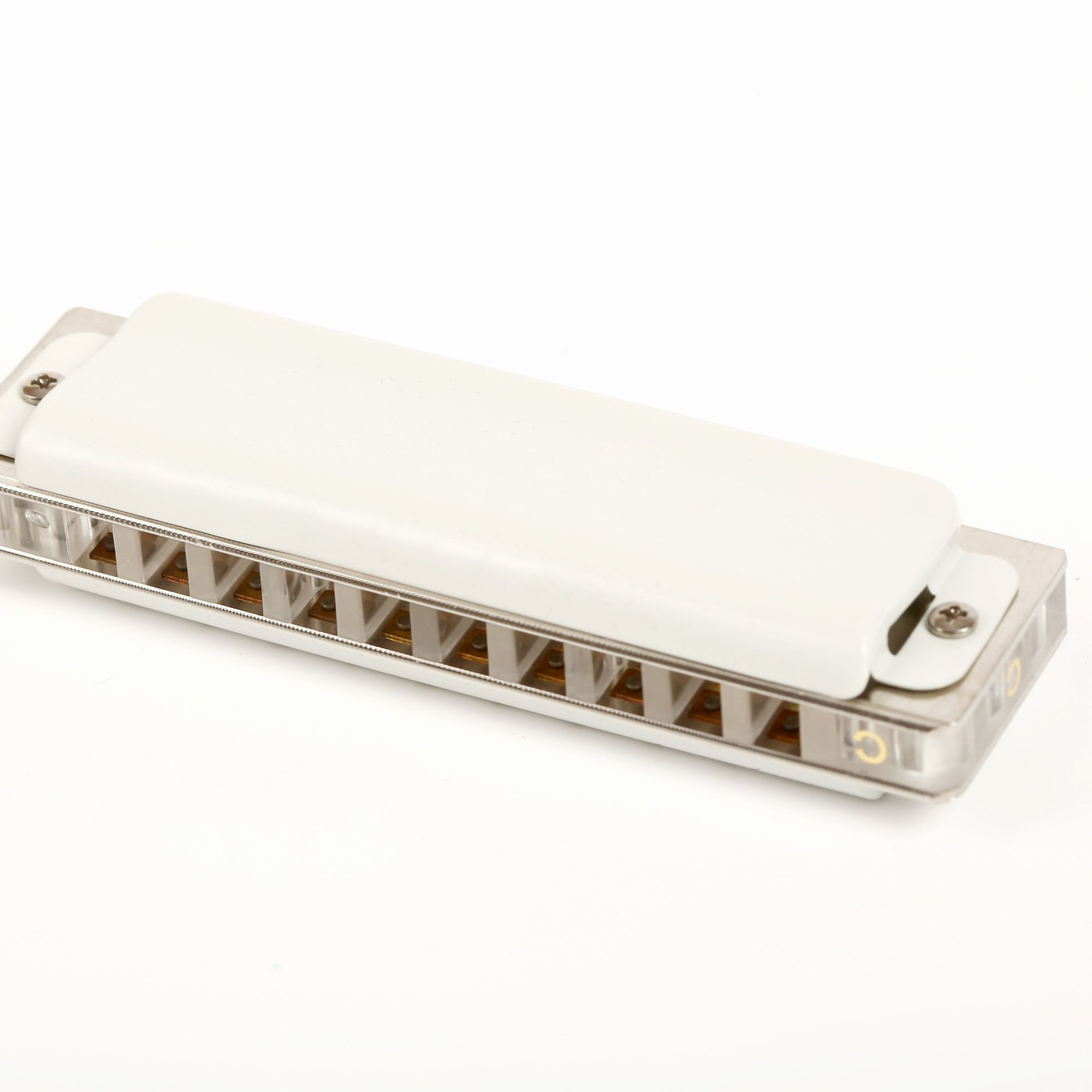 East top 10 hole harmonica pro - Musical Instrument Lute ulasan dan harga